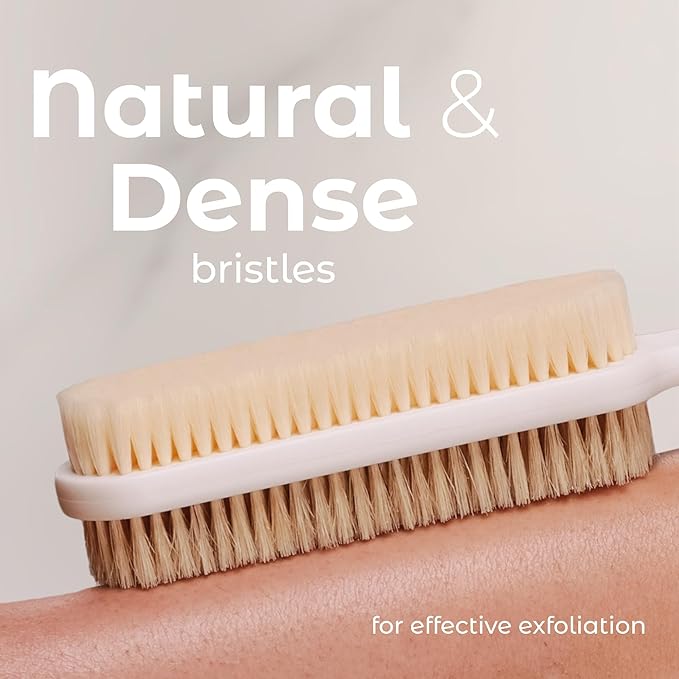 MainBasics Back Scrubber for Shower – Long Handle Dual-Sided Brush for Body Wash & Scrubbing with Exfoliating & Soft Bristles (White, Plastic)