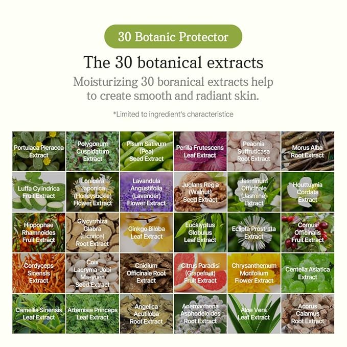 jmella in france Queen5 Body Wash -luxury fragrance Made by French Performer- Chemical free Free From 7 kinds of Paraben-33.8 FLoz