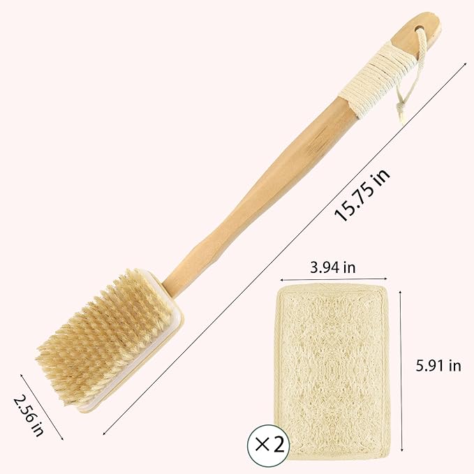 2-in-1 Shower Brush with Loofah Refill Pads, Dual-Sided Long Handle Body Scrubber with Soft & Firm Bristles and Loofah Pad Attachment, Exfoliating Back Brush for Wet or Dry Use, for Men and Women