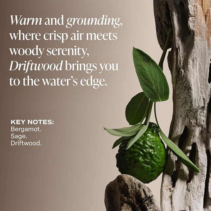 Saltair Body Oil - Luxurious Driftwood After Shower and Bath Oil for Women and Men. Botanical, Non-Greasy, Well-Absorbing Moisturizer for Hydrating Dry Skin. 4oz Pump Bottle