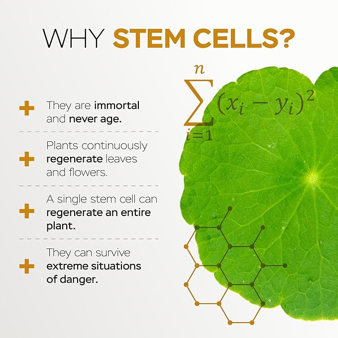 VITASEI Moisturizing Eye Cream w/Aloe Vera, Collagen, Hyaluronic Acid, Cotton Stem Cells for Dark Circles, Puffiness & Bags - Under Eye Hydration Cream for Women & Men (1 Fl Oz)