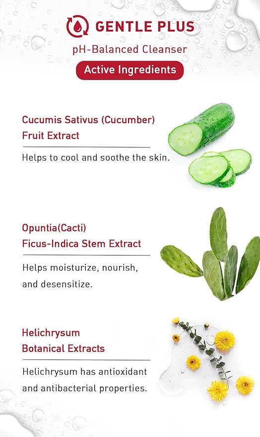 menorah Gentle Cleansing Mousse – Hydrating pH-Balanced Face Wash with Cactus & Cucumber Extracts, Soothing Daily Cleanser for Sensitive & Dry Skin