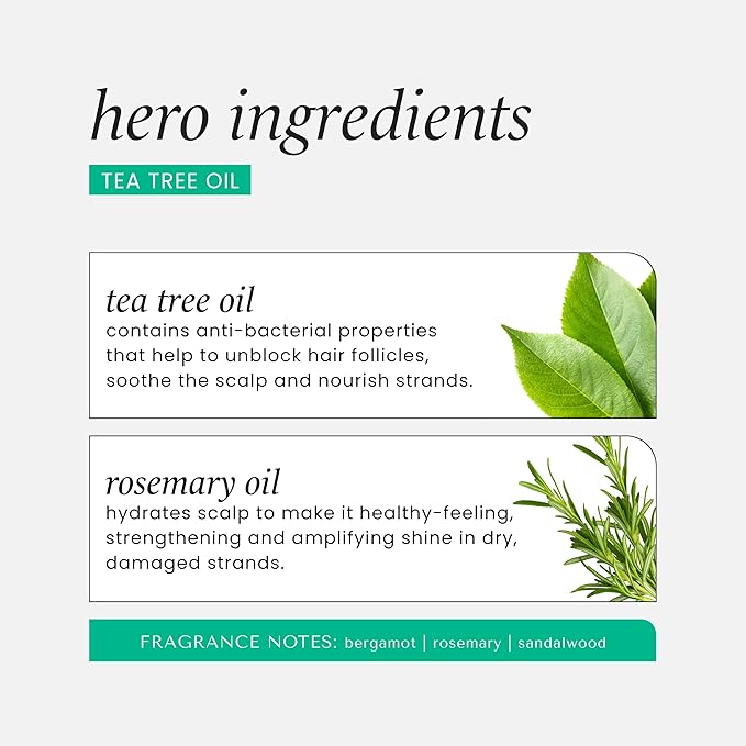 HASK Tea Tree Oil & Rosemary Invigorating Shampoo + Conditioner Set | Refreshes Scalp, Soothes, Sulfate-Free, Paraben-Free, Gluten-Free, Color Safe | 12oz each