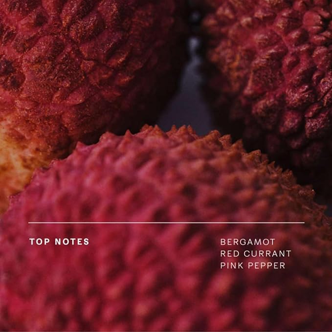 Future Society Solar Canopy Body Lotion - Luxury Fruity Floral Scented Body Cream with Notes of Bergamot, Sugar & Vetiver - Moisturizes & Replenishes Dry Skin - Hydrating & Perfumed Lotion - 8oz