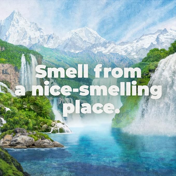 Irish Spring Original Clean Body Wash, 30 Oz Pump (Pack of 4)