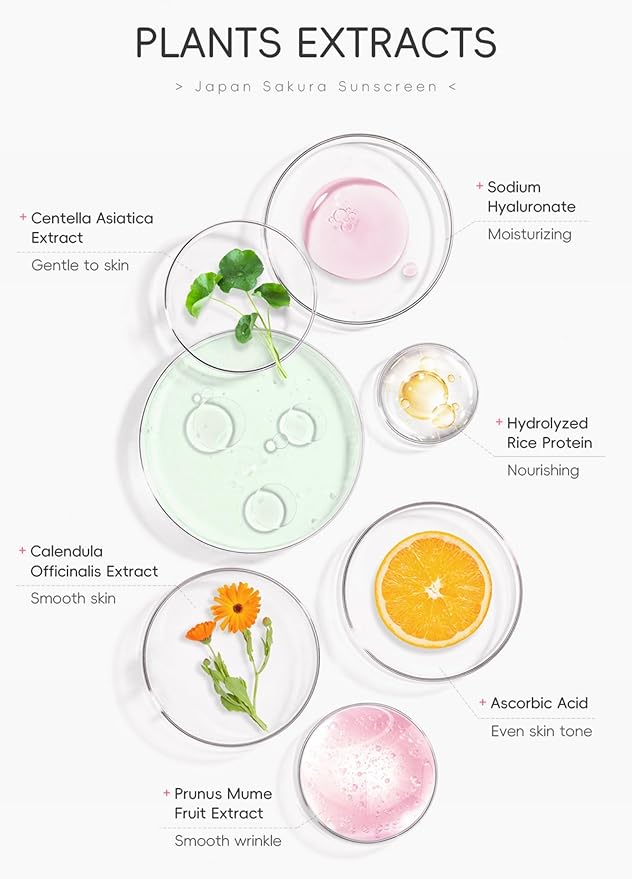 Hydrating Sunscreen SPF 50 – 2Packs Lightweight Hydrating JAPANESE SAKURA Face & Body Sunscreen, Moisturizing Isolation Cream Non-Greasy, Fast-Absorbing, No White Cast