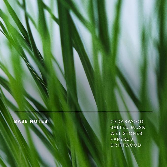 Future Society Floating Forest Body Lotion - Luxury Aquatic Floral Scented Body Cream with Notes of Bergamot, Freesia & Musk - Moisturizes & Replenishes Dry Skin - Hydrating & Perfumed Lotion - 8oz