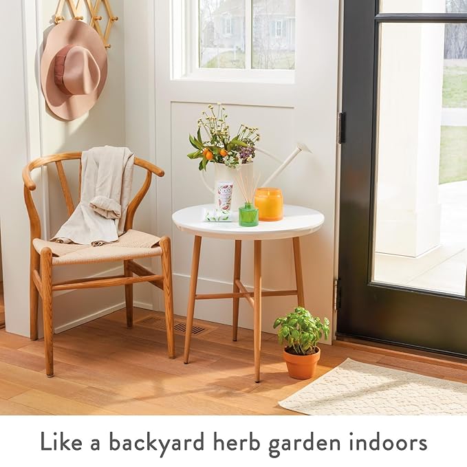 Thymes Moisturizing Hand Lotion for Dry Skin - Moisturizer for Beauty and Personal Care - Luxury Hand Lotion for Women & Men with Shea Butter & Aloe Vera (Fresh-Cut Basil, 9 fl oz)