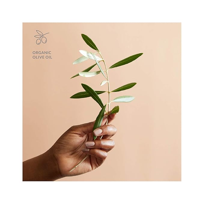 DHC Deep Cleansing Oil Medium, Facial Cleansing Oil, Makeup Remover, Cleanses without Clogging Pores, Residue-Free, Fragrance and Colorant Free, All Skin Types, 4.1 fl. oz.