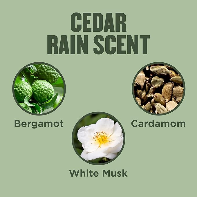 Gold Bond Cedar Rain Refreshing Hand Cream, Everyday Hand Cream with Aloe Vera to Refresh Skin and Vitamin E to Help Soothe the Skin, Comforting Cedar Rain Scent, 3 oz, 4 pk