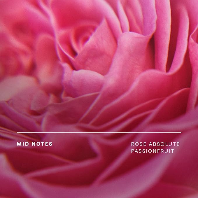 Future Society Haunted Rose Body Lotion - Luxury Smoky Floral Scented Body Cream with Notes of Pepper, Rose, Amber & Sandalwood - Moisturizes & Replenishes Dry Skin - Hydrating & Perfumed Lotion 8oz