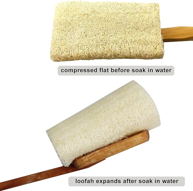 2 Pack Natural Exfoliating Loofah Luffa Loofa Bath Brush On a Stick, Shower Sponge Back Scrubber with Long Wooden Handle for Men & Women, Deep Clean and Invigorate Your Skin Back Brush