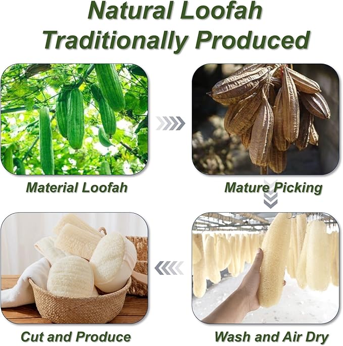 Natural Loofah Sponge, Exfoliating Body Scrubber for Men Women, Loofah with Handle, Exfoliating Back Scrubber for Shower Set, Deeply Clean & Invigorate Your Skin (5 pcs in Box)