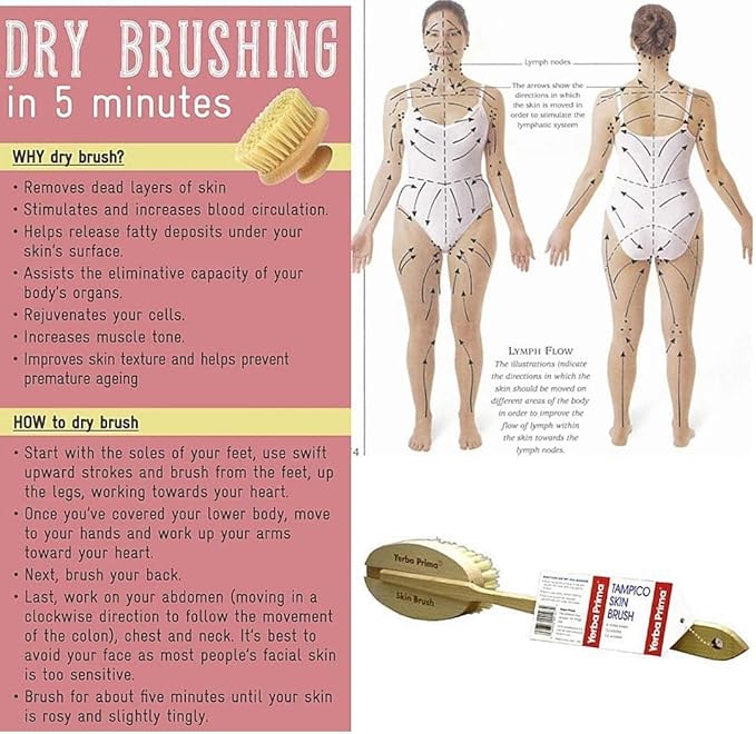 Yerba Prima Tampico Dry Skin Brush for Exfoliating and Blood Stimulation (Pack of 3)