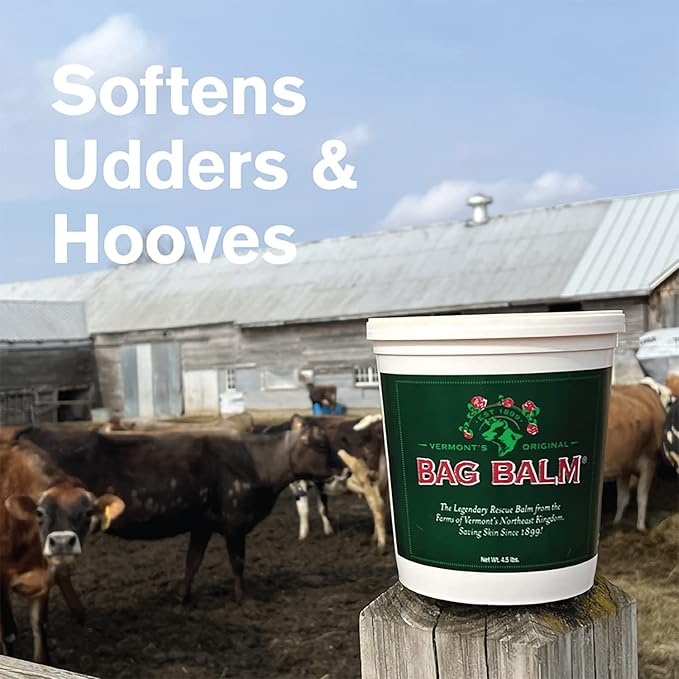 Bag Balm Vermont's Original Hand & Skin Moisturizer, Cracked Heels Treatment, Dry Hands & Dogs Ointment - 72oz Pail