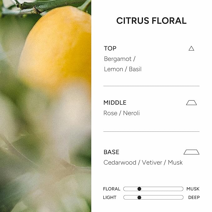 2-in-1 Korean Hair Perfume Oil & Serum with Morrocan Argan Oil & 12 Amino Acids for Dry, Damaged, Glass Hair Shine & Frizz-Control – Paraben & Alcohol-Free – Citrus Floral – 100ml / 3.38 fl oz