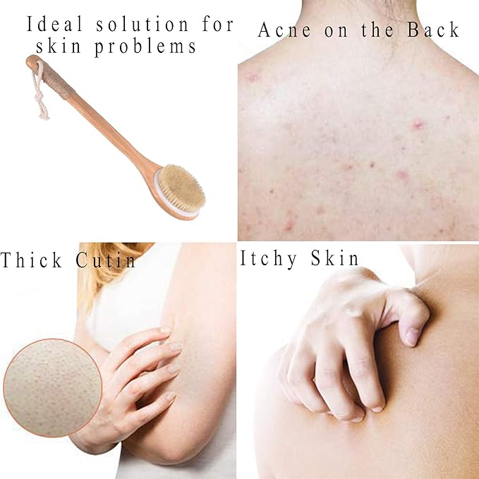 Chikoni Dry Bath Body Brush Back Scrubber with Anti-Slip Long Wooden Handle, Natural Bristles Body Massager, Perfect for Exfoliating, Detox and Cellulite, Blood Circulation, Good for Health