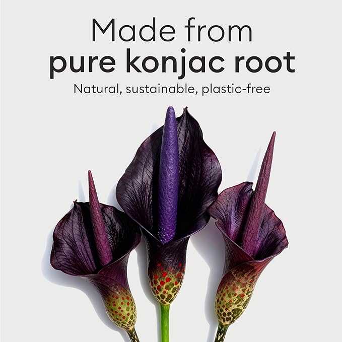 Vove Organic Konjac Body Sponges 2-Pack - Natural Full Body Exfoliating Shower Sponges, Gentle Plant-Based Cleansing for All Skin Types, Microplastic-Free Biodegradable, Certified Organic