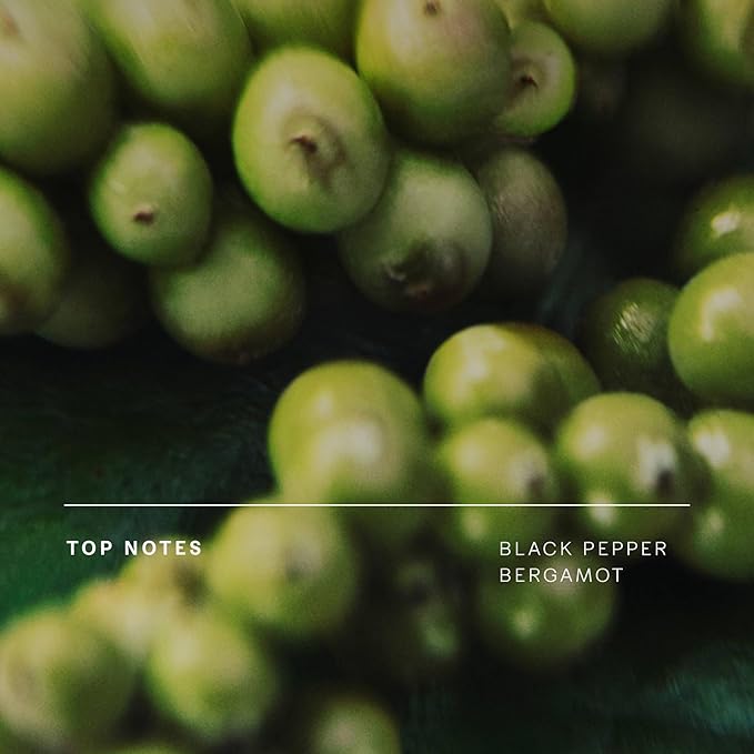 Future Society Floating Forest Body Lotion - Luxury Aquatic Floral Scented Body Cream with Notes of Bergamot, Freesia & Musk - Moisturizes & Replenishes Dry Skin - Hydrating & Perfumed Lotion - 8oz