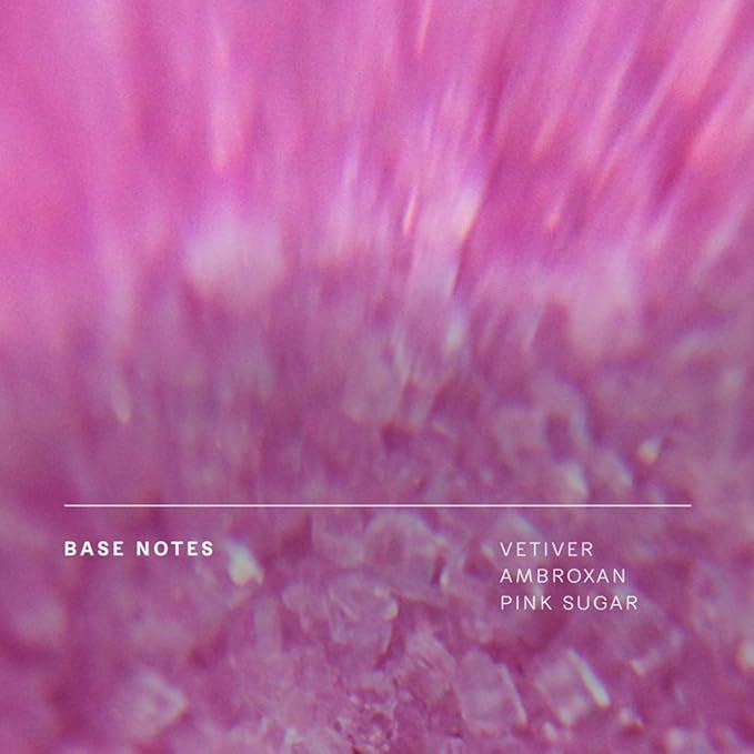 Future Society Solar Canopy Body Lotion - Luxury Fruity Floral Scented Body Cream with Notes of Bergamot, Sugar & Vetiver - Moisturizes & Replenishes Dry Skin - Hydrating & Perfumed Lotion - 8oz