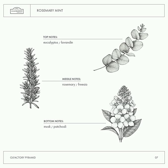 A LA MAISON de Provence Liquid Hand Soap | Rosemary Mint Scent | French Milled Moisturizing Natural Hand Soap | in 16.9 oz. Pump Bottles | (3 Pack)