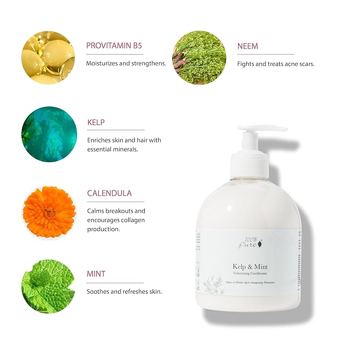 100% PURE Kelp & Mint Volumizing Conditioner Moisturizer & Deep Hydration - Botanical Body Boost for Dry, Damaged Thinning Hair, Promotes Healthy Growth for Women & Men - Sulfate Free - 16 Fl Oz