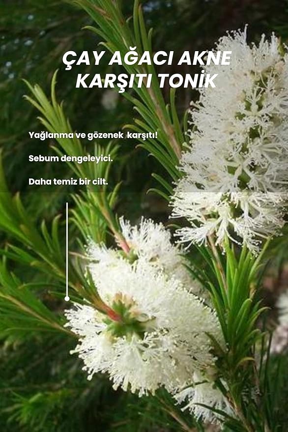 Bade Natural Tea Tree Pore-Refining Toner – Clarifying Toner for Acne-Prone, Oily & Combination Skin – Gently Mattifies and Hydrates – 3.4 fl oz (100 ml)