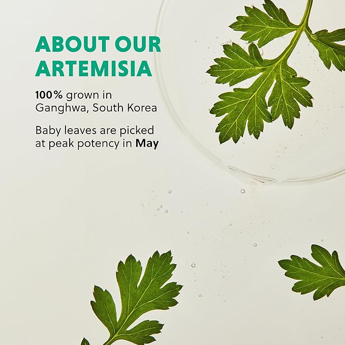 HANYUL Artemisia Soothing Toner Pads with Centella Asiatica and Hyaluronic Acid | Hydrating & Calming Pre-Makeup Facial Pads for Sensitized Skin, Dual-Layer Design, 60 Count