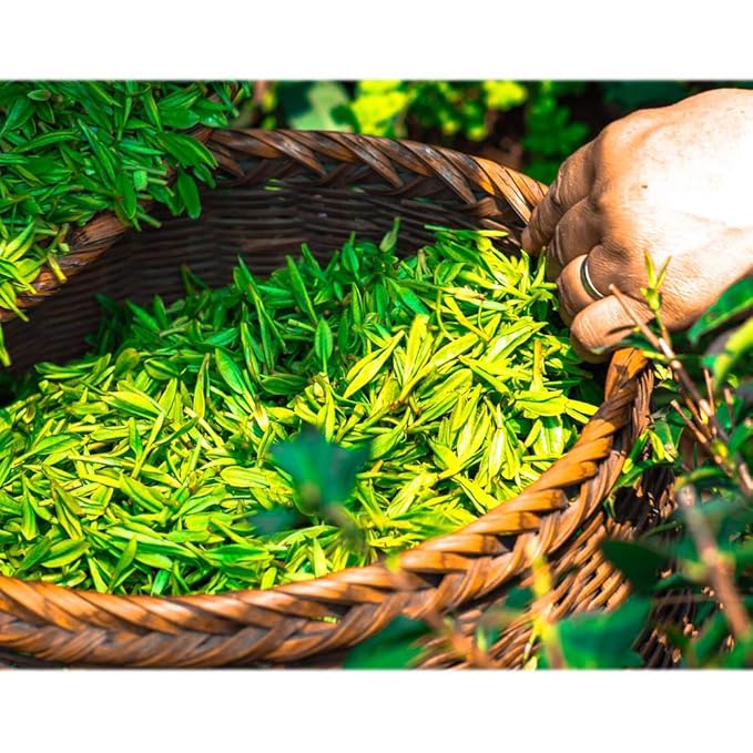 ECO amenities Bar Soap - Travel Essentials Bath Soap Bars - Hotel Amenity Bulk Set - Cruelty-Free & Individually Wrapped - 1 Oz Travel Pack