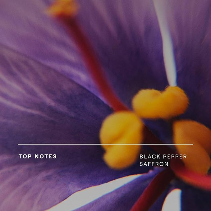 Future Society Haunted Rose Body Lotion - Luxury Smoky Floral Scented Body Cream with Notes of Pepper, Rose, Amber & Sandalwood - Moisturizes & Replenishes Dry Skin - Hydrating & Perfumed Lotion 8oz