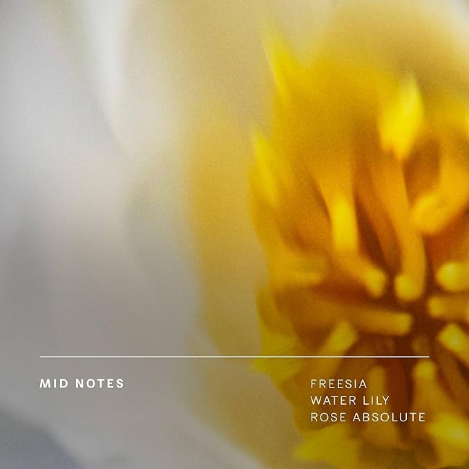 Future Society Floating Forest Body Lotion - Luxury Aquatic Floral Scented Body Cream with Notes of Bergamot, Freesia & Musk - Moisturizes & Replenishes Dry Skin - Hydrating & Perfumed Lotion - 8oz