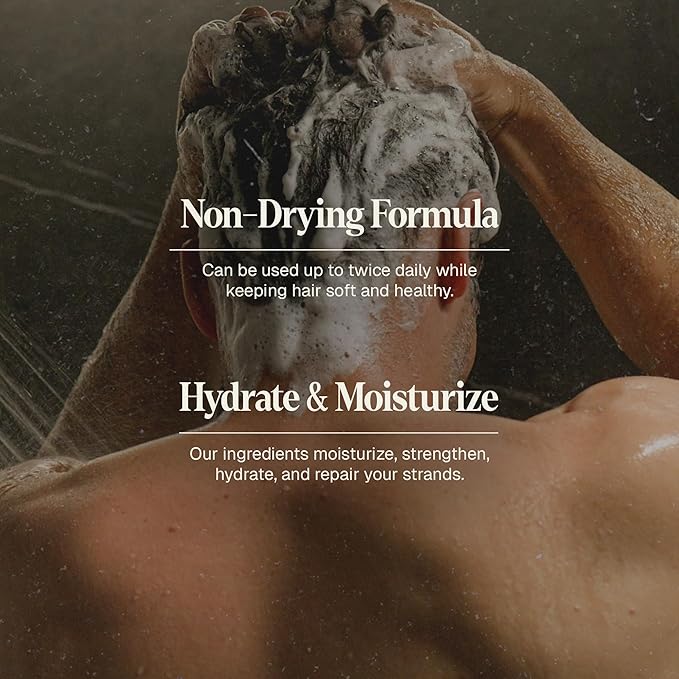 Black Wolf 2-Pack Mens Shampoo for Oily Hair, 12 Fl Oz - Charcoal-Infused Oil Control Shampoo with Moisturizing & Deep Cleansing Formula Hydrates & Nourishes Scalp - Daily Hair Care for Men