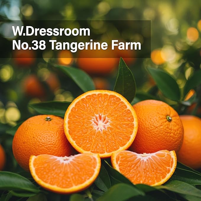 W.Dressroom Moisturizing Hand Cream for Dry Hands, Non-Greasy, Quick-Absorbing Korean Hand Lotion, Travel Size 1.69 fl oz (50 ml), No.38 Tangerine Farm