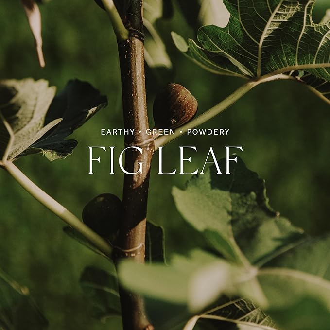 Antica Farmacista Body Moisturizer - Scented Moisturizing Lotion with Aloe Vera, Green Tea & Sweet Almond Oil - Luxury Gift for Any Occasion - Fig Leaf, 10 fl oz