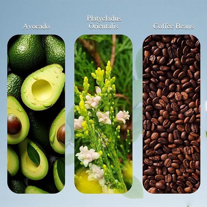 Trichology Shampoo | Anti-Hair Fall & Less Shedding & Volumizing Shampoo | Biotin, Arginine & Oleanolic Acid Strengthens Roots Promotes Hair Growth Oil Control & Scalp Nourishment 300ML (3PCS)