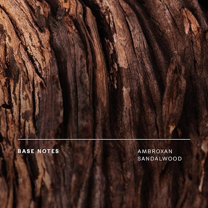 Future Society Haunted Rose Body Lotion - Luxury Smoky Floral Scented Body Cream with Notes of Pepper, Rose, Amber & Sandalwood - Moisturizes & Replenishes Dry Skin - Hydrating & Perfumed Lotion 8oz