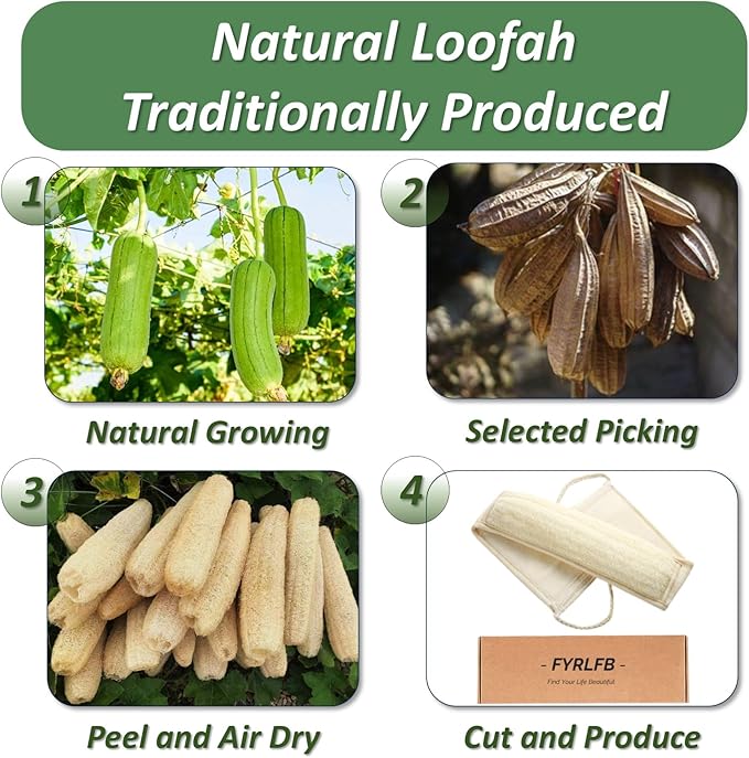 Natural Loofah Exfoliating Body Scrubber for Men and Women, Loofah Sponge Pads & Body Sponges Scrubber, Luffa Sponge to Clean & Relax Your Body Deeply (1 Pack)