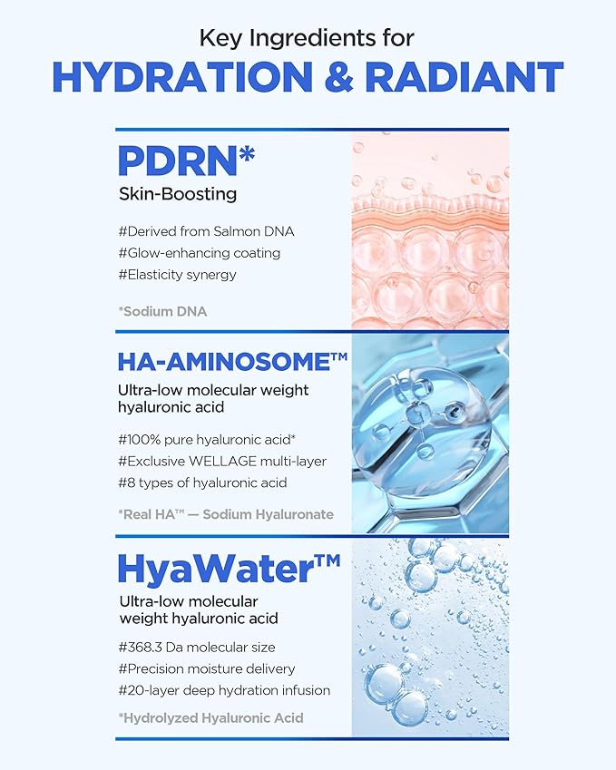 WELLAGE Real Hyaluronic Glow Booster PDRN Hydrogel Face Sheet Mask - Over night Face Masks for Deep Moisture Plumping and Radiant Skin - Korean Skincare, 5 Sheets