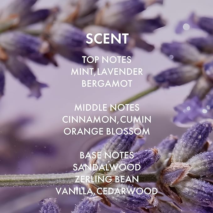 ALFHEIM Lavender+ Purple Shampoo for Blonde, Silver & Color Treated Hair Travel Size – Neutralizes Brass & Yellow Tones, Restores Cool Brightness – with Quinoa Extract & Vitamin E – Sulfate-Free