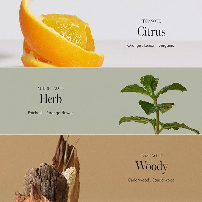 ANILLO Patchouli Garden Damage Repair Hair Essence – Korean Hair Essence Oil for Damaged Hair w/Patchouli Leaf Water, Protein Complex & Amino Acids – Vegan Leave in Hair Serum (50ml / 1.69 fl. Oz)