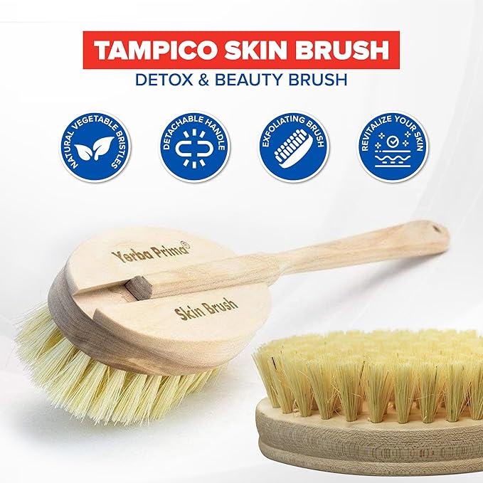 Yerba Prima Tampico Skin Brush for Exfoliation, Dry Brushing, and Blood Circulation with Natural Fiber Bristles and an All-Natural Maple Wood Handle - 1 Brush