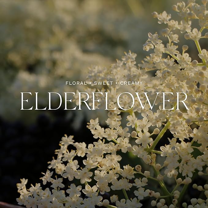 Antica Farmacista Body Moisturizer - Scented Moisturizing Lotion with Aloe Vera, Green Tea & Sweet Almond Oil - Luxury Gift for Any Occasion - Elderflower, 10 fl oz