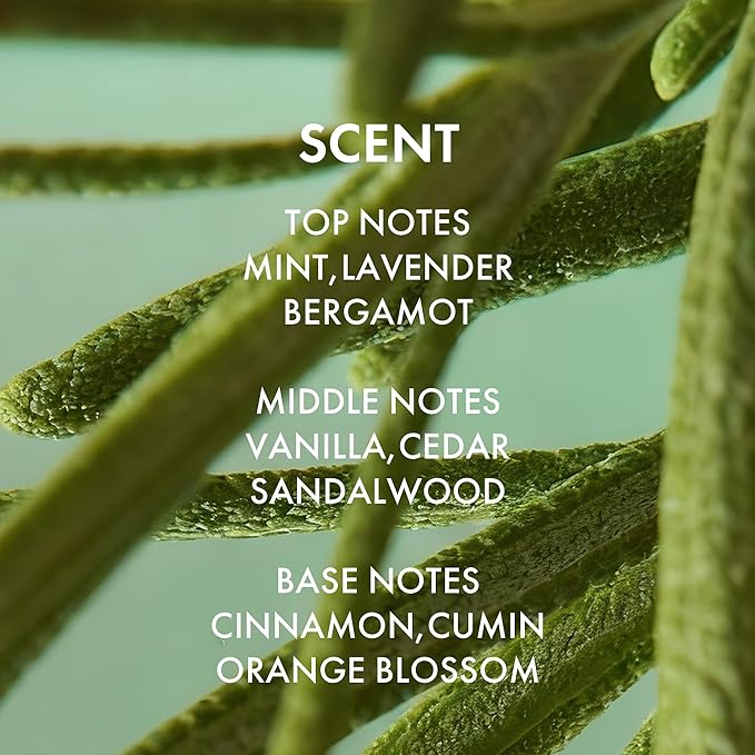 ALFHEIM Rosemary+ Purifying Shampoo & Conditioner Set Travel Size – Balancing Care for Oily & Fine Hair with Rosemary, Peppermint & Jojoba Oils – Deep Cleanse, Lightweight Hydration, Sulfate Free