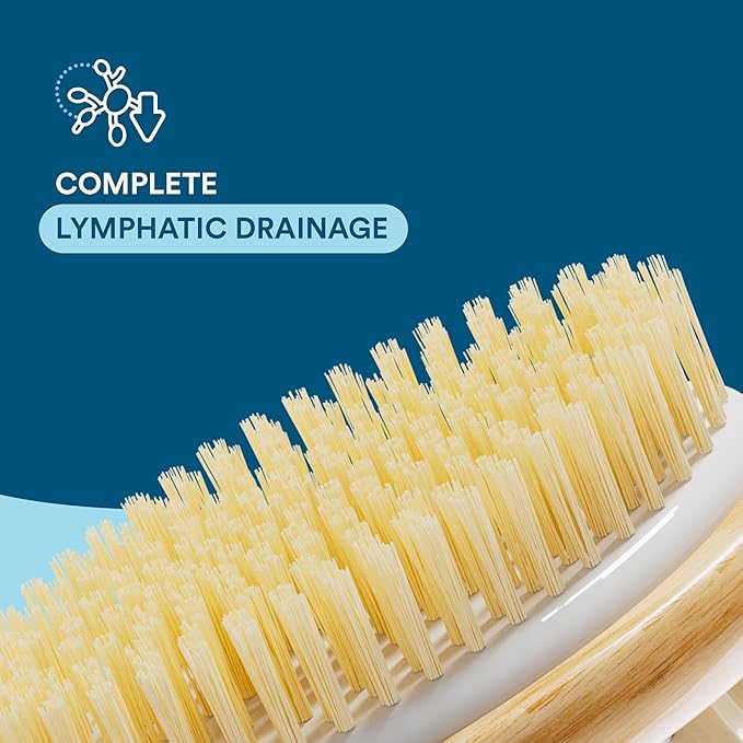 2-in-1 Long Handle Body Brush for Skin Exfoliation and Massage Reduces Cellulite Stimulates Blood Circulation & Reduces Dead Skin Cells Natural, Soft Bristles (Pack of 1) Brown