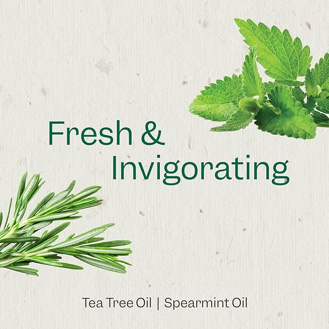 Renpure Tea Tree & Mint Body Wash - Cleanses, Invigorates & Refreshes Skin Without Over-Drying - For All Skin Types - Tea Tree Leaf Oil, Spearmint Leaf Oil - 24 Fl Oz each, 2 Pack