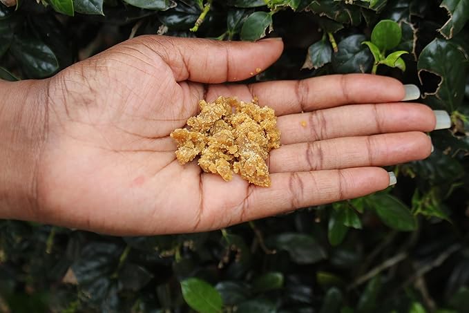 3CAYG Ucuuba Butter 8oz All Natural Raw Unrefined 8oz Body and Hair Butter