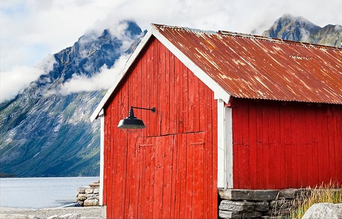 Steel Lighting Co. | Dusk to Dawn | Redondo Barn Light | Outdoor Wall Mounted | 20 inch Dome | 20 inch Straight Arm | Large Farmhouse Light Made in America | Cream/Brass