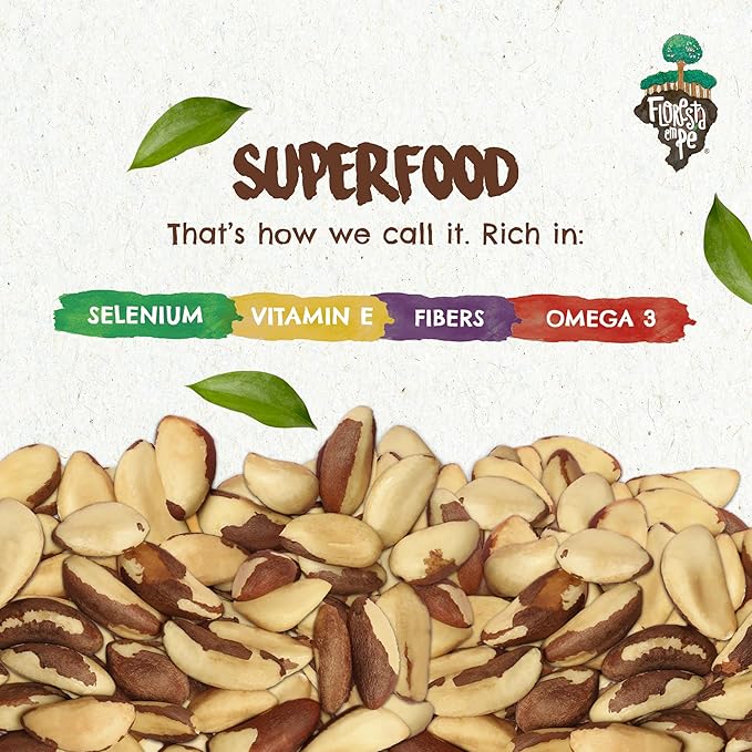 2 Snacks The True Organic Brazil Nuts Medium Size 48 oz 3lbs – Raw and Unsalted – Rich in Vegetable Protein – Fresh, Vegan and Gluten Free – Forest Up