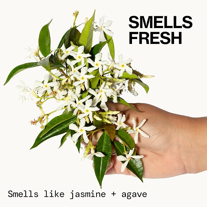 Jasmine Agave Strengthening Shampoo & Conditioner Set – Clean Vegan Shampoo & Conditioner for Weak Or Brittle Hair (Including Color-Treated), Stronger, Shinier Strands, No Silicones or Parabens