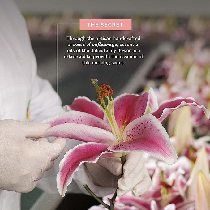 Lily Satin Hydrating Body Cream, 24 Hour Fragranced Body Butter for Dry Skin, 8.8 Ounce